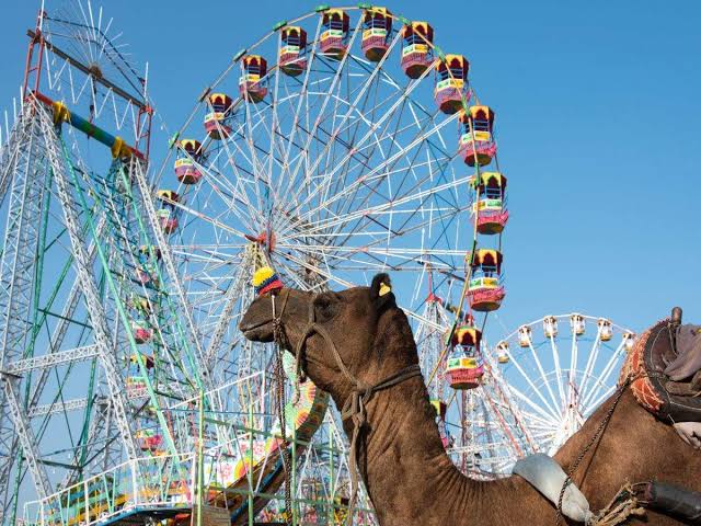 Pushkar Camel Fair